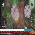 عکس ترانه حضرت یار با صدای آقای جواد فانوسی - شیراز