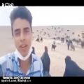 عکس ویدئوی آوازخوانی سروش رضایی در دشت و صحرا و در کنار گوسفندان