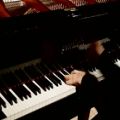 عکس Valentina Lisitsa - Liszt Transcedental Etude 12