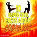 عکس 10 نکته جالب درباره سریال Cobra Kai