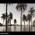 عکس موزیک ویدیوی «اهل النخل» از مهدی یراحی