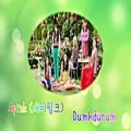 عکس Apink (에이핑크) - Dumhdurum Lyrics: Korean, English, Persian