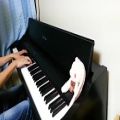 عکس T-ara _What should i do piano