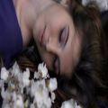 عکس گل های خفته - سنتور: مسعود میثاقیان | موسیقی آرامش بخش