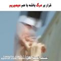 عکس کلیپ عاشقانه غمگین کره ای...