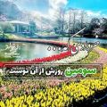 عکس کلیپ تبریک تولد ۳ خرداد | کلیپ تولدت مبارک