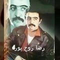 عکس موزیک ویدیو تنهاترین عاشق رضا روح پور