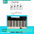 عکس آموزش پیانو مبتدی | آموزش ساز پیانو ( 14 نوع از ارجاعات پیانو )28423118-021
