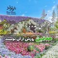 عکس کلیپ تبریک تولد ۷ خرداد | کلیپ تولدت مبارک