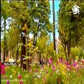 عکس ترانه جانم باش با صدای آرون افشار و تصاویری از شیراز زیبا - شیراز