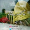 عکس آهنگ بلوچی نیه کس