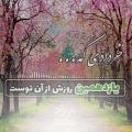 عکس کلیپ تبریک تولد ۱۱ خرداد | کلیپ تولدت مبارک