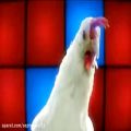 عکس اهنگ مرغی - طنز - Chicken song - [Geco Remix]