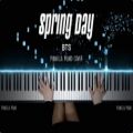 عکس کاور پیانو آهنگ Spring Day از بی‌تی‌اس | Pianella Piano