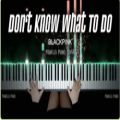 عکس کاور پیانو آهنگ Dont Know What To Do از بلک‌پینک | Pianella Piano