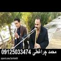 عکس مداح و نی بهشت زهرا