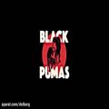 عکس موسیقی آلترناتیو Black Pumas - Colors