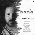 عکس دانلود موزیک Bi Ehsas اثر Ali-Abdolmaleki