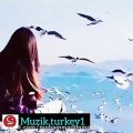 عکس آهنگ ترکی/آهنگ غمناک/آهنگ و موسیقی ترکیه.