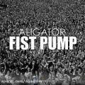 عکس دانلود موزیک Fist Pump (Club Mix) اثر Aligator