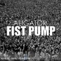 عکس دانلود موزیک Fist Pump (Clean Radio Mix) اثر Aligator