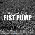 عکس دانلود موزیک Fist Pump (Dirty Radio Mix) اثر Aligator