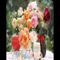 عکس گلهای تازه ٤٧ - محمودی خوانساری