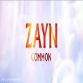 عکس ZAYN - Common (Audio)