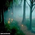 عکس موسیقی بیکلام Mysterious Fantasy Music – Creatures of the Misty Woods Magical