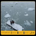 عکس اجرای پیانو بر روی سکویی شناور در اقیانوس منجمد شمالی