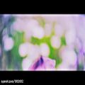 عکس 방탄소년단(BTS) Butterfly MV