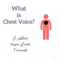 عکس آموزش آواز و آشنایی با مفهوم صدای سینه chestvoice