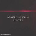 عکس 8Dio Intimate Studio Strings 1.3 Update Walkthrough
