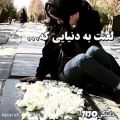 عکس لعنت به دنیایی که برای عزیز شدن...یا باید دورباشی یا...