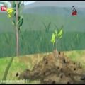 عکس دانلود کارتون آموزش درختکاری 