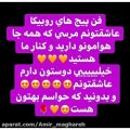 عکس امیر مقاره