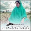 عکس موسیقی بختیاری، صابر افشاری
