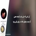 عکس محمدرضا شجریان _ ساز و آواز هشیار کسی باید