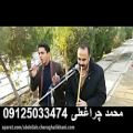 عکس مداح و نی بهشت زهرا