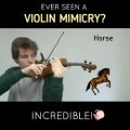 عکس صدای حیوانات با violin