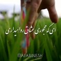 عکس استاد محمدرضا شجریان