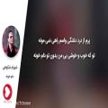 عکس شهرام شکوهی - دلم خونه