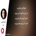 عکس امین حبیبی - تو