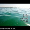عکس موزیک ویدیو جذاب محمد کالج (دریا به دریا)