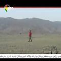 عکس موزیک نوروز احمد مرادی در شبکه کرد کانال