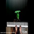 عکس اجرای زیبای پیانو قطعه ی رویای شیرین اثر چایکوفسکی Tchaikovsky Sweet Dreams