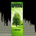 عکس آهنگ spring از دی جی آرین ایگل