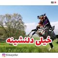 عکس کلیپ لری | آهنگ لری عاشقانه | شاهسیار