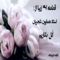 عکس قطعه ای زیبا از همایون شجریان : گُل بِکاریم