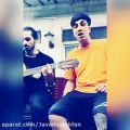 عکس اجرای زنده موزیک الو تتلو از جواد صالح